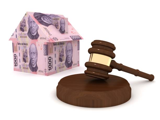 Loi pour investissement locatif : les dispositions législatives
