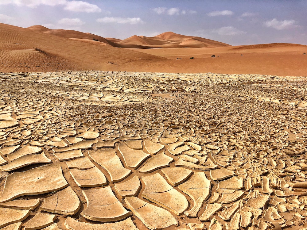 Régulations sur le Changement Climatique: La Responsabilité de Protéger Notre Planète