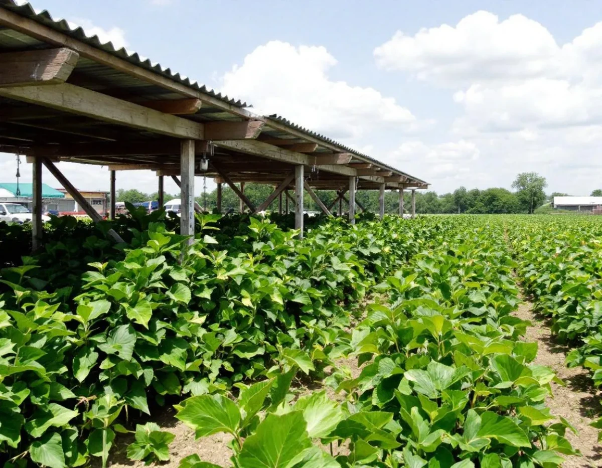L'Assurance Multirisque Agricole : Protection Complète pour les Exploitants Agricoles Face aux Risques Contemporains