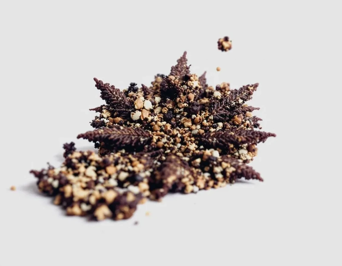 Cookies CBD : protection de la marque contre les enregistrements frauduleux