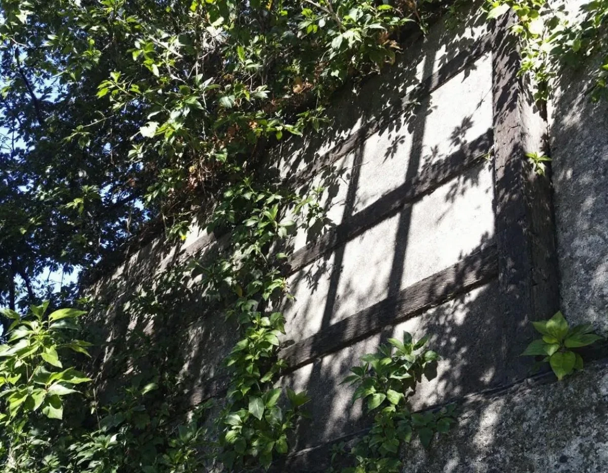 Pergolas et Patrimoine Naturel : Cadre Juridique et Enjeux de Préservation